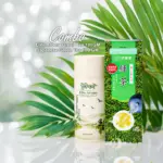 Elite Aroma Green Tea 100gm + Japanese Ito En Green Tea 100Gm - 2